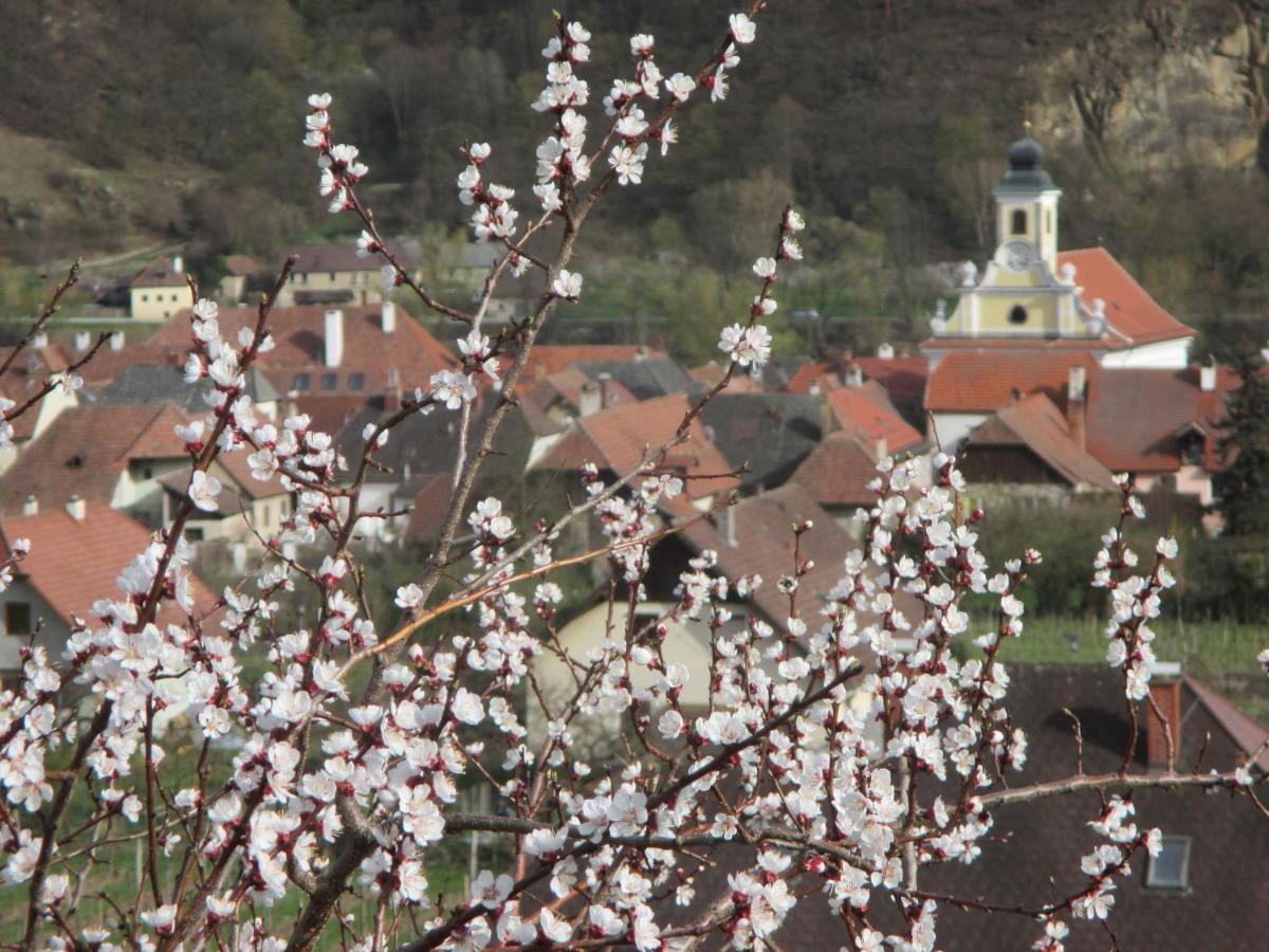 Gaestehaus Rudolf U. Sandra Denk Wösendorf Exteriér fotografie